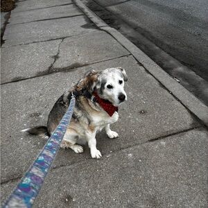 Meet your Posher, Brenda